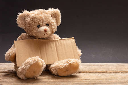 Poor homeless child begging. Teddy bear sad, holding a blank cardboard sign, sitting in black background, copy spaceの写真素材
