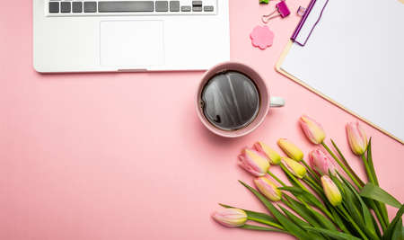 Womens, mothers day concept. Pink tulips bouquet and computer laptop on pink pastel background, top...