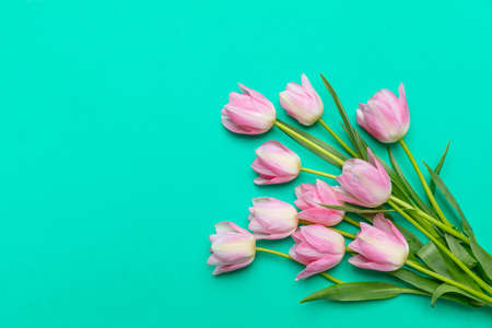 Springtime, easter concept. Pink tulips bouquet on green background, top view, copy spaceの写真素材