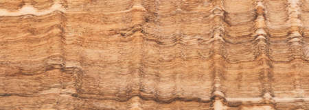 Wood, olive tree, natural board background, texture. Wooden plank, floor or wall, banner