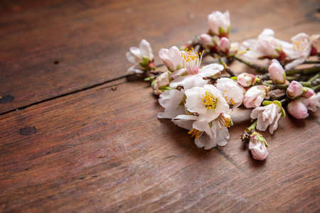 Pink almond blossoms bouquet on wooden  background, copy space
