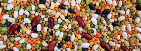 Legumes, pulses. Mixed dry uncooked legumes full background, banner, top view