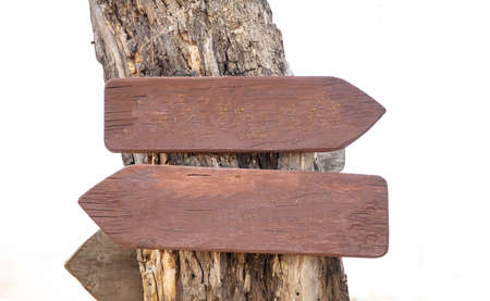 Opposite directions arrow signs. Two blank wooden pointers on a tree trunk, closeup view, space for...