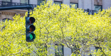 Green traffic lights for cars hanging in the city center, blur green tree foliage and buildings...