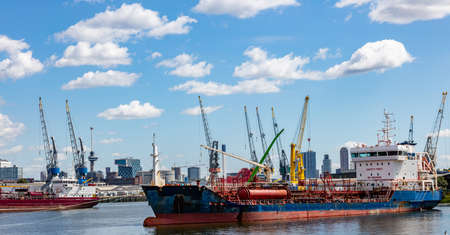 Logistics business. Huge cranes and ships anchored at harbor. International commercial port, city of Rotterdam background, sunny summer dayの写真素材