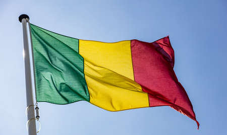 Mali flag, Mali national symbol waving against clear blue sky, sunny dayの写真素材