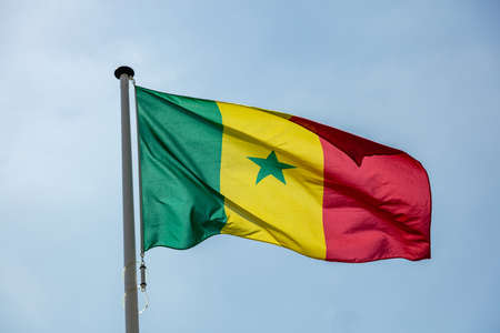 Senegal flag, National symbol waving against clear blue sky, sunny dayの写真素材