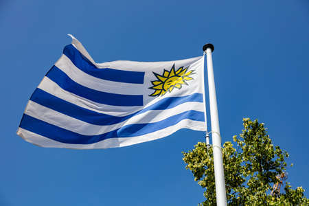 Uruguay flag, National symbol waving against clear blue sky, sunny dayの写真素材