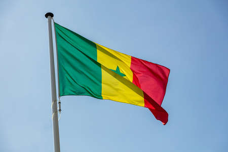 Senegal flag, National symbol waving against clear blue sky, sunny dayの写真素材