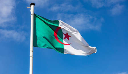 Algeria flag, Algerian national symbol waving against clear blue sky, sunny dayの写真素材