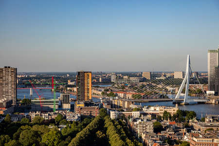 Rotterdam city aerial view. Cityscape, river Maas and Erasmus bridge, summer sunny day, Netherlandsの写真素材