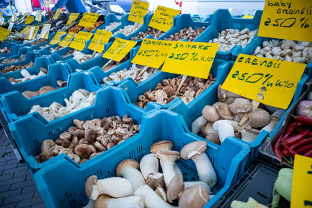 Rotterdam Netherlands, June 29, 2019. Fresh mushrooms variety for sale at a farmers openair market. Close up viewのeditorial素材