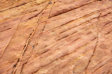 Valley of fire state park, Nevada USA. Red sandstone rock background, texture, closeup view, sunny...