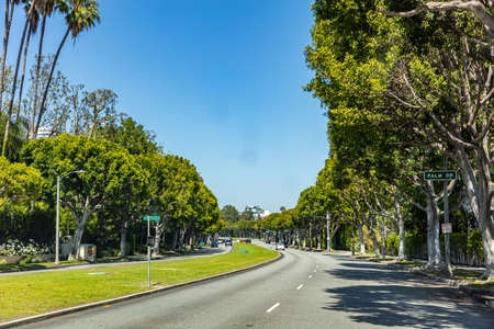 Los Angeles California, USA. May 31, 2019. Beverly hills, Palm drive sign, trees and blue sky background. Sunny spring day.のeditorial素材