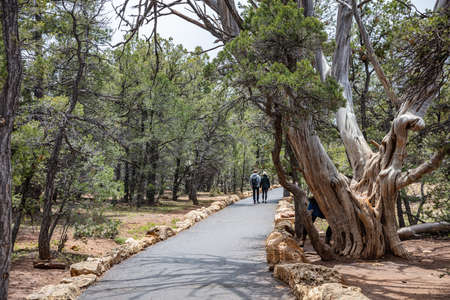 Grand Canyon, Arizona, USA. May 22, 2019. Young couple holding hands walking on the south rim path, cloudy skyのeditorial素材