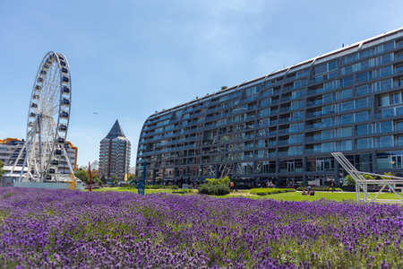 Rotterdam, Netherlands. June 27, 2019.  Market Markthal exterior side view, ferris wheel and lavender garden, spring sunny dayのeditorial素材