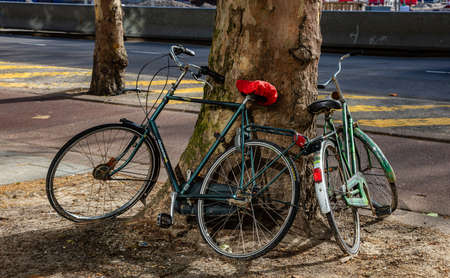 Rotterdam, Netherlands. June 27, 2019. Bikes leaned on a tree trunk, sidewalk in the city centerのeditorial素材
