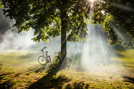 Picnic on the grass, people relaxing, sun behind the trees foliage, summer afternoon in a city park. Rotterdam, Netherlands.の写真素材