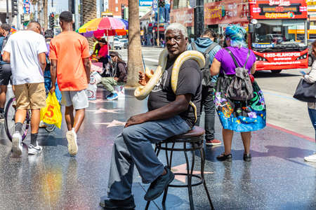 Los Angeles, California, USA. June 1, 2019. Man is sitting on a stool with a yellow python around his neck on the Walk of Fame, LA.のeditorial素材