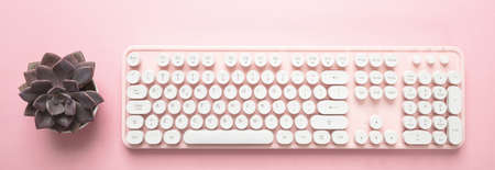 Woman office desk. Computer keyboard and succulent plant pot against pink background, bannerの写真素材