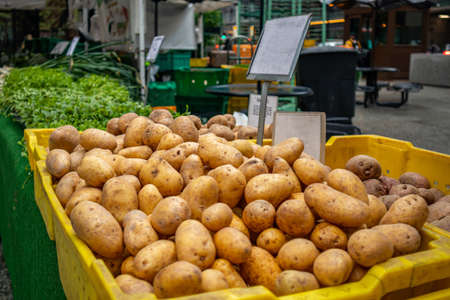 Organic potatoes for sale at an open air farmers market stall, Chicago Illinois, USAの写真素材