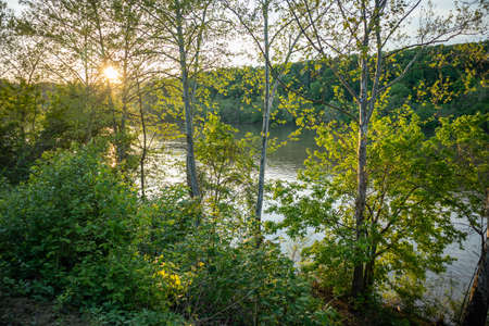 Sundown over the river behind green tree folliage in spring. A place for relaxation and activities. Pittsburgh, Pennsylvania, USA.の写真素材