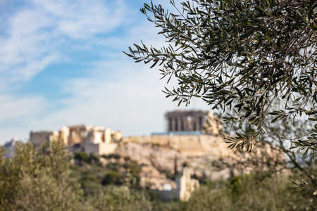 Athens, Greece. Acropolis and Parthenon temple. Blurred view of ancient Greece remains seen from Philopappos Hill. Selective focus on olive tree brunchの写真素材