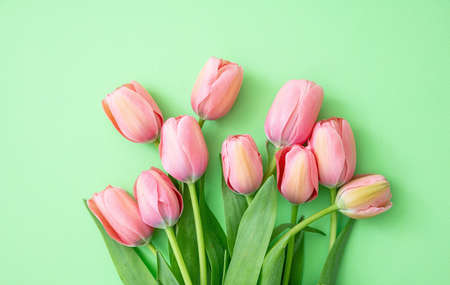 Springtime, easter. Pink tulips bouquet on green background, top viewの写真素材