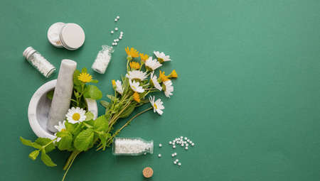 Alternative herbal medicine. Homeopathic globules, fresh wild flowers and herbs on green background. Aromatherapy, Homeopathy natural productsの写真素材