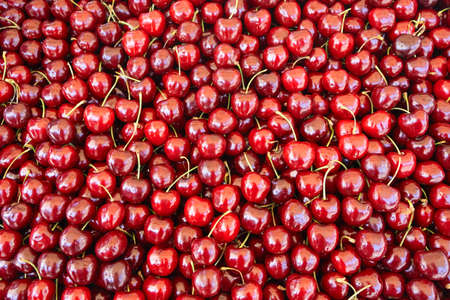 Cherries fresh pile at farmers market, background, texture. Close up viewの写真素材