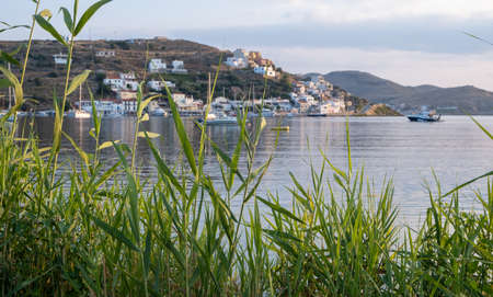 Kea island, Tzia, summer holidays destination Greece. Vourkari village view through green reed plants. Vessels and sailboats anchored at marina calm sea.の写真素材
