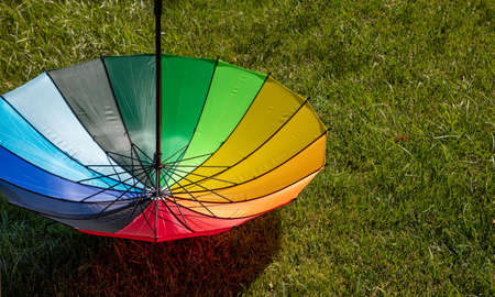 Rainbow colors umbrella upside down on the grass, sunny day, card template. Gay pride symbol against...