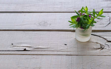 Empty wooden office desk, outdoor table background, copy space, template. COVID 19 home office concept,の写真素材