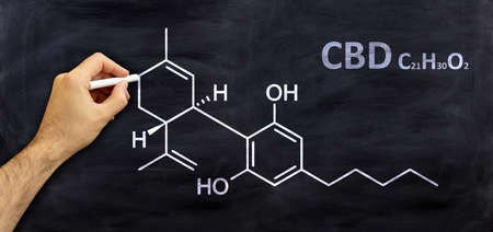 Cannabidiol, cbd structural chemical formula, drawing on a board, student room background. Cannabis medicine  moleculeの写真素材