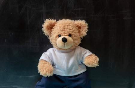 Cute teddy bear, school blank black chalkboard background. Kids learning, children class concept.の写真素材