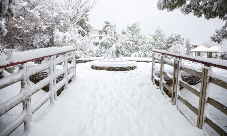Snow soft and white on trees background. Footbridge covered with snowflakes, frozen pond and nature...