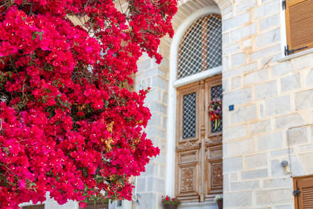 Bougainvillea ornamental plant with red flowers in front of neoclassical stone building at...