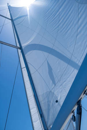 Yacht wind filled sails on clear blue sky background. Sailing with the wind at open sea ocean, summer vacations concept. Looking up at the sky, sun shining, sunbeams on boat rigging, Low angle viewの写真素材