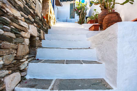Traditional narrow stone stairs going up, big ceramic pots with plants decoration, whitewashed walls house background. Sifnos island, Greece, Cycladesの写真素材