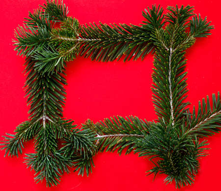 Christmas greeting card template. Fresh fir twig frame on red color background. Empty space for New Year wishes, winter holiday event invitation.の写真素材
