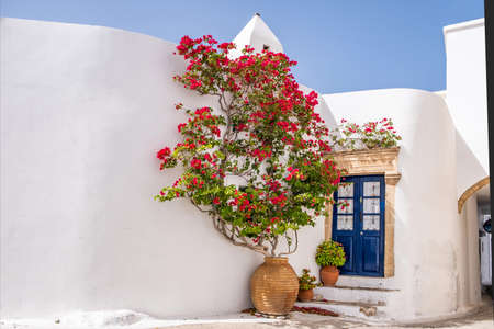 Typical architecture of whitewashed house blue wooden door with ochre trim and indoors curtains red bougainvillea in amphora at Kythira, Kythera island, Chora village Greece. Destination Kithira.の写真素材