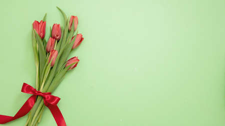 Tulip flower bunch and red ribbon bow on pastel green color background. celebration gift, copy space, spring holiday card templateの写真素材