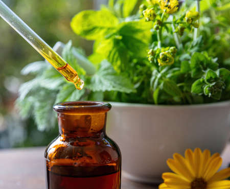 Essential oil drop falling in a glass bottle, close up. Alternative health medicine. Fresh herbs in a mortar on a wooden table, blur green nature backgroundの写真素材
