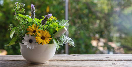 Fresh herbs in a mortar, herbal medicine, alternative healing. Mint, rosemary, basil and lavender aromatic leaves, on a wooden table, copy spaceの写真素材