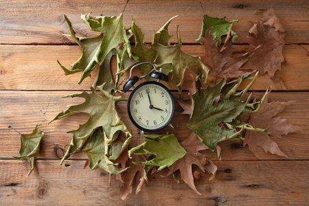 Daylight Saving Time, Fall Back. Black alarm clock and autumn leaves on wooden table, top viewの写真素材