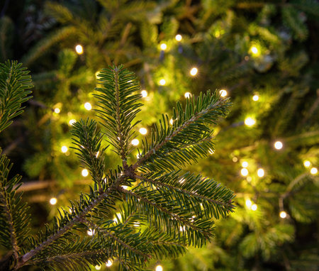 Christmas tree and Xmas bokeh lights decoration close upview. Winter holiday card template