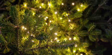 Christmas tree and Xmas bokeh lights decoration close up, copy space. Winter holiday card template,...