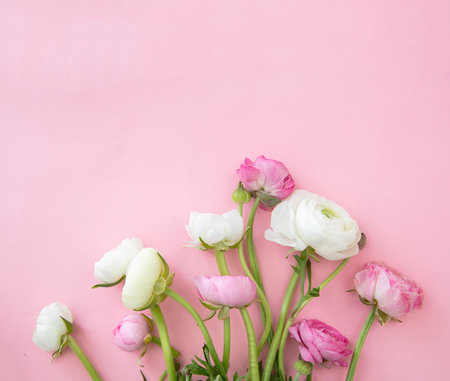 Buttercups flower bouquet on pastel pink background, copy space. Woman, mother dayの写真素材