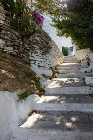 Greece. Narrow paved stairway with up direction between stonewall under tree branch at Tinos island, Dio Horia village Cyclades. Verticalの写真素材