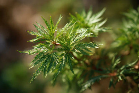 Young leaves of a bush in the spring. Shallow depth of field. AI Generatedの素材